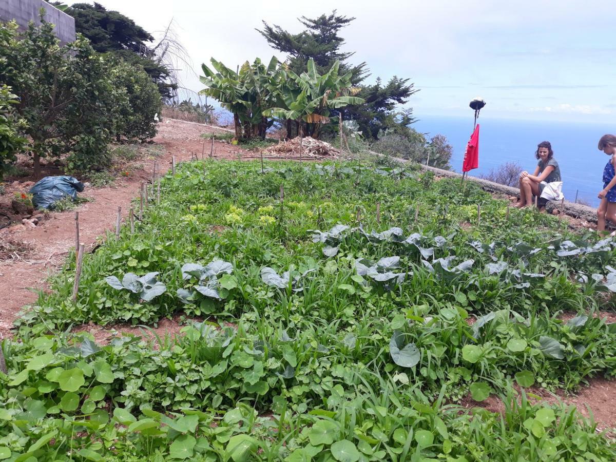 Casas En Finca Ecologica La Espiral, Naturaleza, Calma Y Vistas Al Mar, Icod el Alto Eksteriør bilde